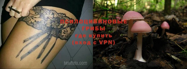 ALPHA-PVP Аркадак
