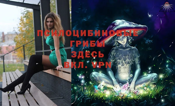 гидропоника Арсеньев