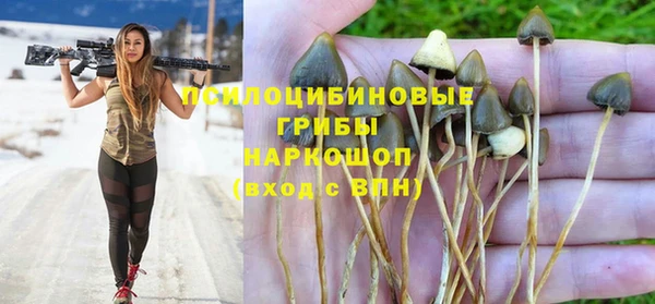 тгк Ростов