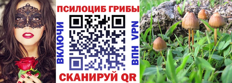 Галлюциногенные грибы мицелий  blacksprut как зайти  Ишим  дарнет шоп 